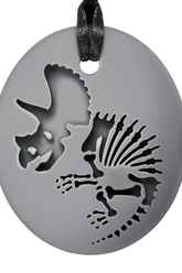 Dinosaur range of  chew necklaces